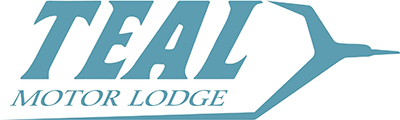 teal logo